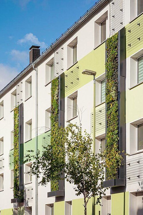 Nachhaltig bepflanztes Gebäude im westerdorfquartier