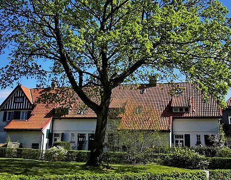 Hübsches Wohnhaus im Grünen mit großem Baum davor in Bredeney