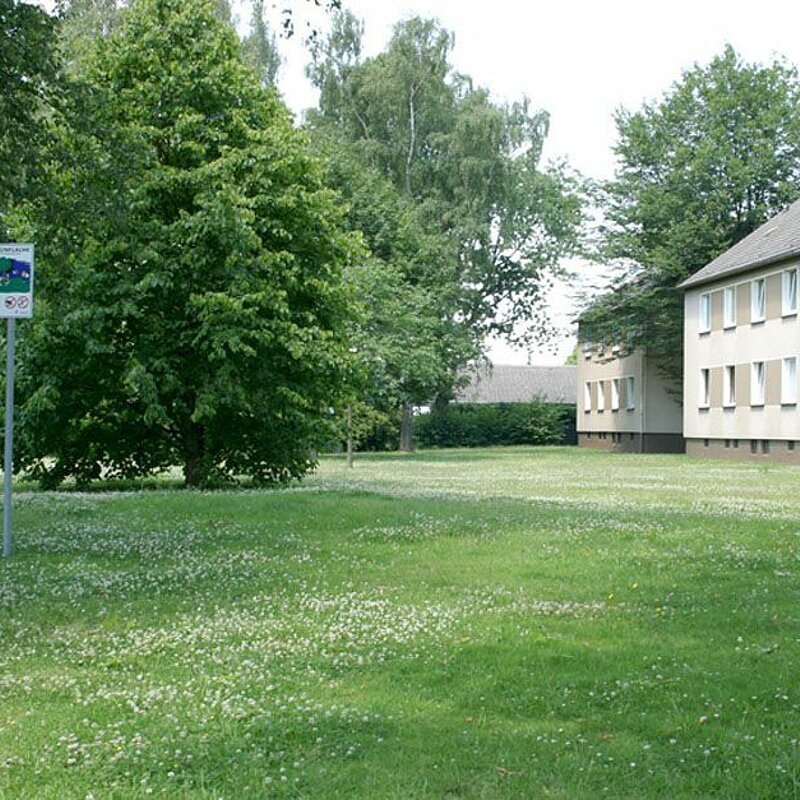 Bild 4 der Mietwohnung in Essen Schonnebeck